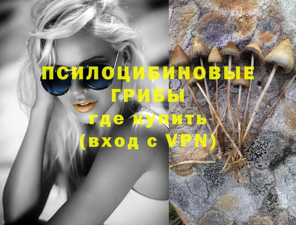 а пвп мука Алзамай