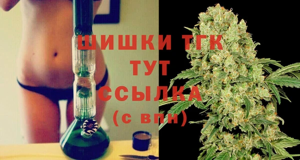 PSILOCYBIN Абаза
