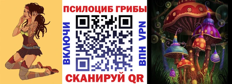 купить   Аткарск  Галлюциногенные грибы MAGIC MUSHROOMS 